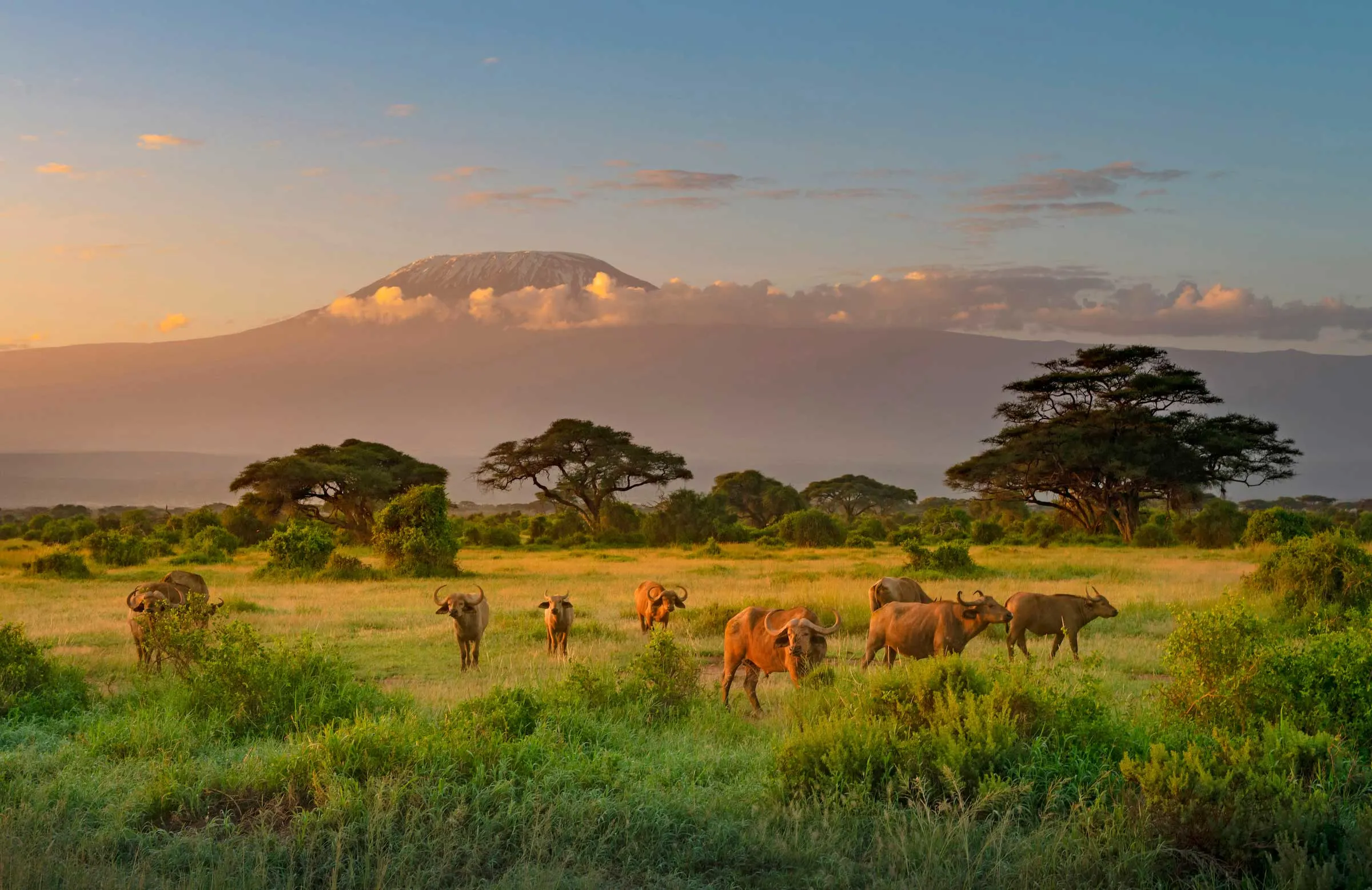 mount kilimanjaro Power of breath